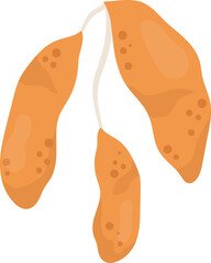 Sweet Potato Vegetable Plant