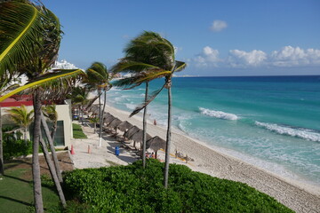Badestrand mit Palmen an der Karibik in Cancún Mexiko
