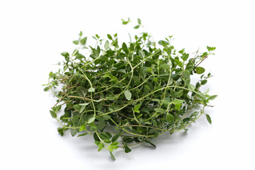 Fresh lemon thyme on white background.