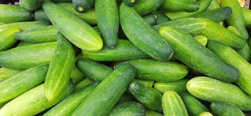Stack of harvest fresh cucumbers background. Ready for cuisine dish. Sold in traditional market in...