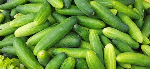 Stack of harvest fresh cucumbers background. Ready for cuisine dish. Sold in traditional market in...