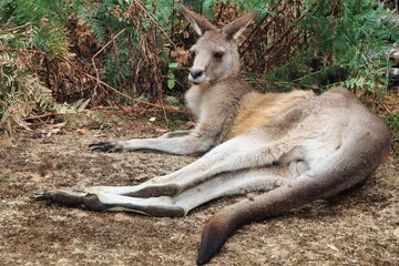 Port Arthur, Tasmania, Australia