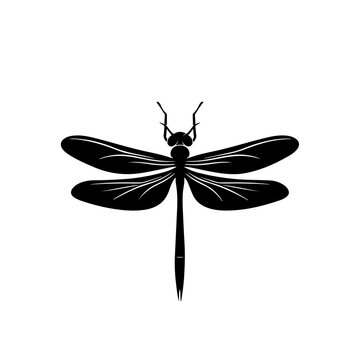 Dragonfly Design Logo Design