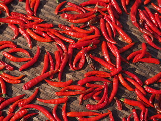 red hot chili peppers