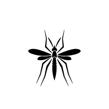 Mosquito Logo Design