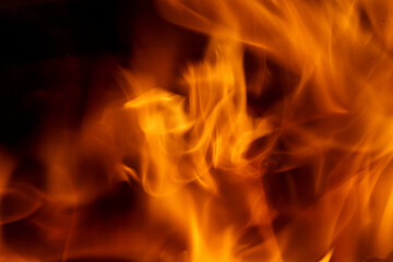 Fototapeta premium Orange Flame while burning wood 