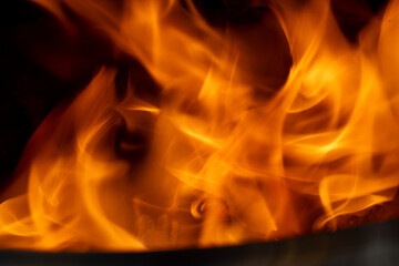 Fototapeta premium Orange Flame while burning wood 