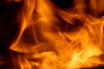 Orange Flame while burning wood 