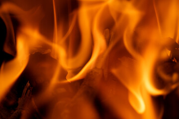 Orange Flame while burning wood 