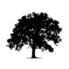 Tree Color Logo Design
