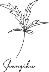 Shungiku Micro Greens Sketch