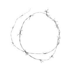 Shiny metal barbed wire isolated on white