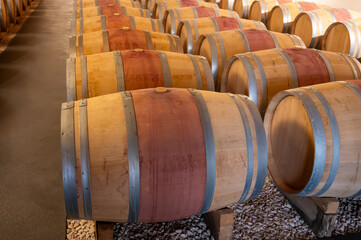 French oak wooden barrels for aging red wine in cellar, Saint-Emilion wine making region picking, sorting with hands and crushing Merlot or Cabernet Sauvignon red wine grapes, France, Bordeaux