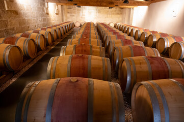 French oak wooden barrels for aging red wine in cellar, Saint-Emilion wine making region picking,...