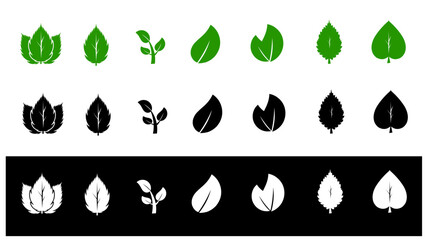 Leaves vector set isolated from the background. Leaves icon different shapes in modern flat style. green leaf icons set on white background