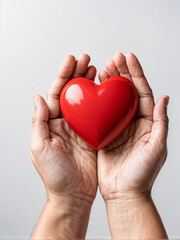 Obraz premium heart in hands