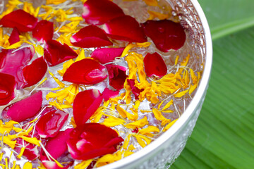 Water with jasmine flower, marigold petals and rose petals in silver bowl. Thai tradition, Songkran...