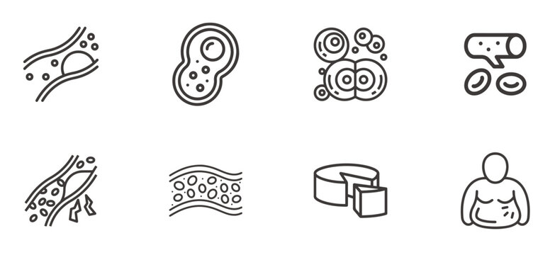 High cholesterol related icons set. Artery blocked by cholesterol, cell division, stroke related icons isolated on white background.