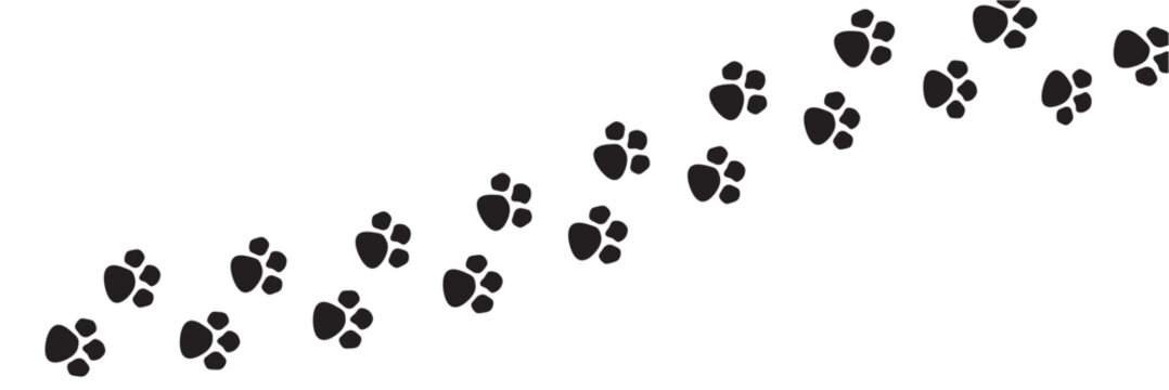 Paw vector foot trail print of cat. Dog, puppy silhouette animal diagonal tracks for t-shirts, backgrounds, patterns, websites, showcases design, greeting cards, child prints and etc. Editable vector 