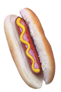 Hot Dog with Mustard