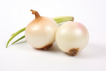 Onion, vegetable , white background.