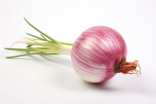 Onion, vegetable , white background.