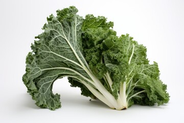 Kale, vegetable , white background.