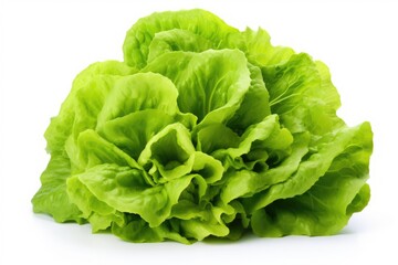 Lettuce, vegetable , white background.