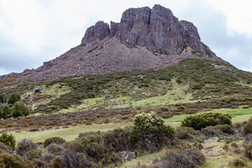 Walls of Jerusalem National Park, Central Highlands, Tasmania, Australia