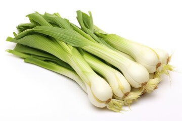 Leek, vegetable , white background.