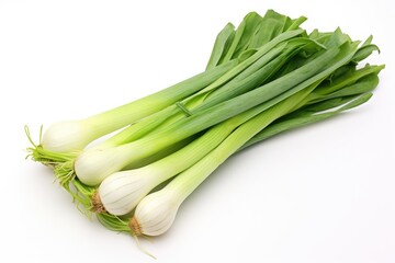 Leek, vegetable , white background.