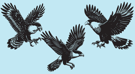 eagle silhouette vector