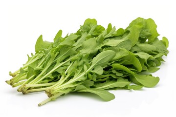 Arugula, vegetable , white background.