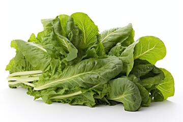 Obraz premium Mustard greens, vegetable , white background.