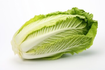 Napa cabbage, vegetable , white background.