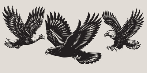eagle sets with wings