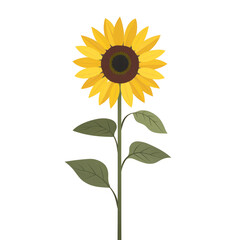 Blooming Sunflower: A Detailed Illustration of a Yellow Sunflower in Full Bloom, Stem and Leaves Included, Captured in PNG Format, Symbolizing Growth and Freshness