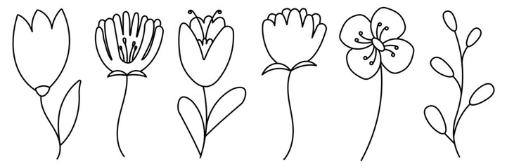 Fototapeta premium set line Spring Flowers elements. Flowering plants. Gift for the holiday Wedding birthday Valentine's day International Women's Day. Decoration for home and garden. background doodle coloring