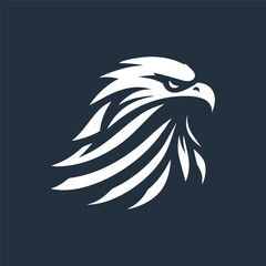 eagle head vector illustration
