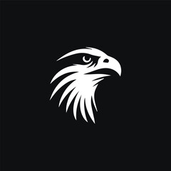 eagle head vector illustration