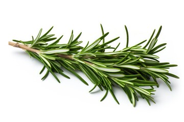 Rosemary, vegetable , white background.