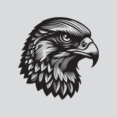 eagle head isolated on white
