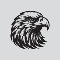 eagle head vector illustration