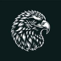 eagle head vector illustration