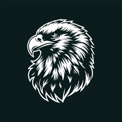 eagle head isolated on white