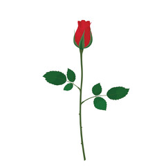 Single red rose bud flat vector isolated on white background. Hand drawn illustration