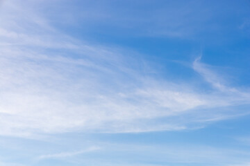 Light blue sky with cirrus clouds. Clouds create a light veil that gently diffuses sunlight. The...