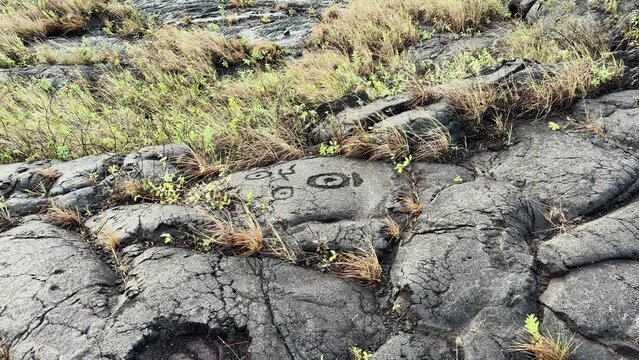 Wide shot of lava rock carvings in Hawaii's Volcanoes National Park.