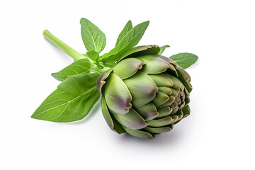 An artichoke isolated on a white background. AI generation.