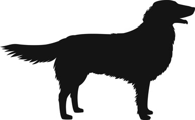 フラットコーテッドレトリーバーのシルエット
